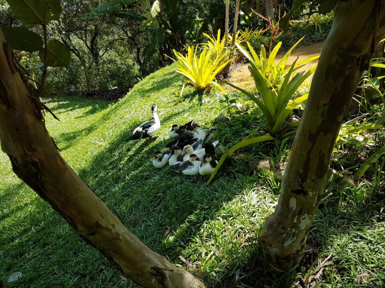 Pousada Rancho Flores Caeté 外观 照片