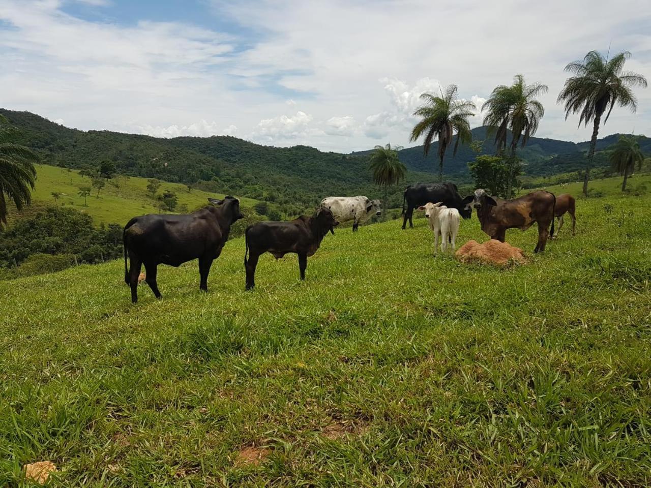Pousada Rancho Flores Caeté 外观 照片